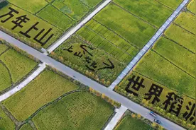 万年上山，根脉传承 ——读吴重生诗作《上山，中华复兴之脉》图片