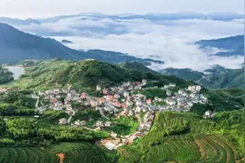 厦门同安：仰望青山是金山图片