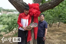 国家女篮前队员郑海霞认养迁西板栗树图片