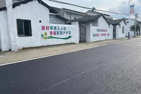 监利市龚场镇：书记、顾问带来的“美丽农村路”图片