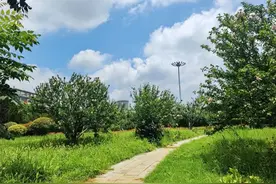雨过天晴景色美，蓝蓝天空白云飘图片