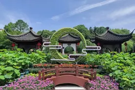 或古色古香，或绿野仙踪，这几处赏荷点别错过图片