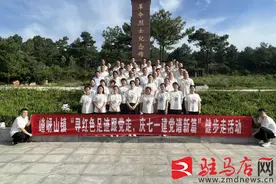 遂平县嵖岈山镇开展“迎七一重温入党誓词”主题党日活动图片