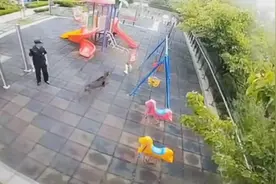小区未栓绳大型犬扑向孩子，保安呼叫多次，狗主人才姗姗来迟视频封面