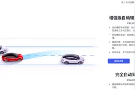 6.4万“打水漂”了？老用户自嘲“韭黄”！特斯拉“最强技术”何时入华成迷，专家称障碍很多图片