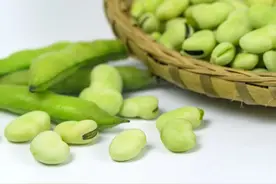 孩子吃蚕豆也有可能会得病，家长一定要注意！图片
