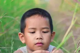 暑期蚂蚁咬伤儿童日渐增多，医生提醒：草地中玩耍应加强防护图片