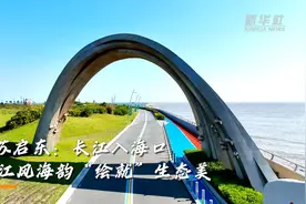 大美长江｜江苏启东：长江入海口 江风海韵“绘就”生态美图片