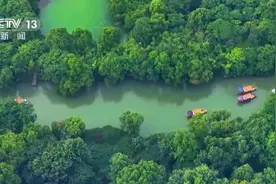 江山如此多娇 感受各地夏日美景的迷人魅力图片
