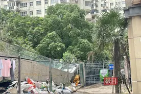 极目帮办丨小区外垃圾堆成山，居民投诉数月仍难解决，相关部门：处于两个街道插花地段，正在协商解决图片