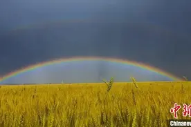 新疆昭苏：雨霁明媚现彩虹图片