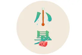 漫话节气丨小暑为何要吃藕？图片