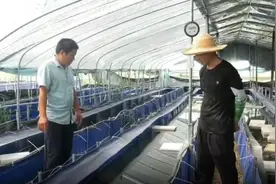 五河县小圩镇：水蛭养殖走出别样“蛭”富路图片