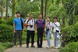 长在石头里的苣苔科、秋海棠……关于“喀斯特植物”你了解多少？图片