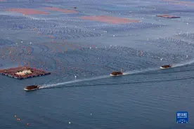 收获鲍鱼图片