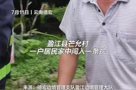 眼镜王蛇“闯”进民宅 移民管理警察“缉拿归案”图片