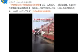 消防喷水20分钟解救3000只中暑鸭 为车主挽回约7万元损失图片