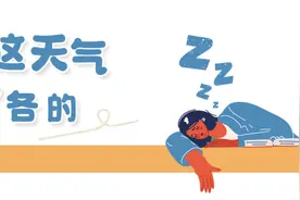 江浙沪人，你为什么不午睡？图片