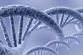 男子多一条X染色体备孕无果，上海医生切开其睾丸找到健康精子图片