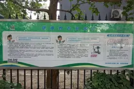 【创建国家卫生城市】健康教育和健康促进详解图片
