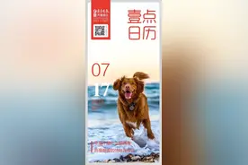 壹点日历合集|幸福不是什么都拥有 而是想要的恰好在身边图片