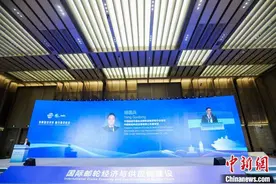 专访“邮轮人”杨国兵：国产邮轮如何竞逐全球蓝海？图片