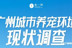美容项目繁多，犬猫SPA最高逾千元，宠物美容贵在哪里？图片