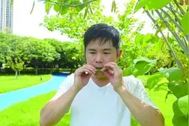 荷叶演奏《荷塘月色》，这个厨师真能吹图片
