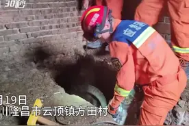 30秒｜800斤水牛掉入坑里 消防员动用“十八般武艺”助其脱困图片