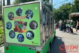 中伏天，看广州动物园的“毛孩子”花式吃瓜！图片