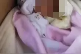 广西博白一婴儿被发现装在纸盒里，疑患兔唇，镇政府：已送医，有人愿领养图片