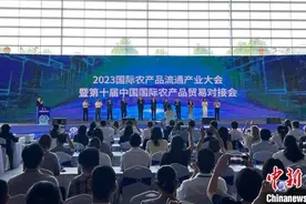 激发农产品市场活力 2023国际农产品流通产业大会在西安开幕图片