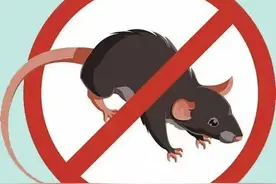 湖南疾控最新提醒：汛期警惕这些传染病图片
