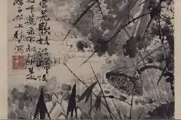 以荷为姓 绚美圆融有担当图片