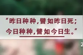 夜读丨改变自己最好的方式：闻过则喜， 知过不讳，改过不惮图片