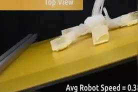 像海星的爬行机器人！能水下作业，灵感来自壁虎图片