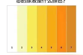 尿液变色是疾病前兆？图片