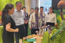江苏常熟，南华野生菌来了~图片