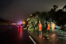 连夜大抢通！沈海高速主线恢复通行图片