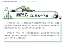 讲礼貌，真的很重要！图片