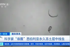 冰冻超4万年的生物，被“复活”！科学家回应图片