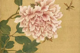 鉴赏 | 清 沈铨《花鸟图册》欣赏图片
