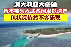 澳大利亚大堡礁暂不被列入联合国濒危遗产图片