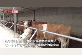 庭院养殖促增收 带动致富奔小康图片