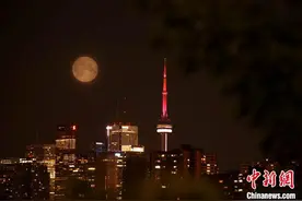 加拿大多伦多迎来2023年首次“超级月亮”图片