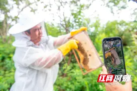 湖南道县：电商助农 乐享“甜蜜”（组图）图片