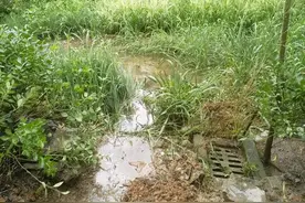居民楼逢雨倒灌竟是海绵工程导致？海绵办：将召集专家实地勘察图片