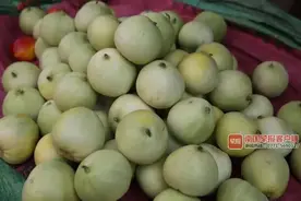 男子突然意识不清，大量呕吐！一只香瓜差点要了他的命！图片