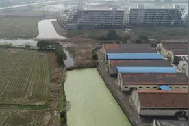 松江：老马山塘再现“一水护田将绿绕”图片