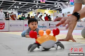 香港“萌娃”爬行大赛 选手尽显萌态图片